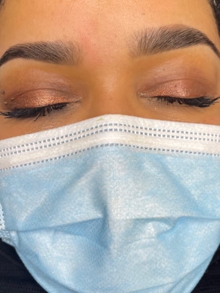 Image of  Brows, Brow Shaping, Wax & Tweeze, Brow Technique, Brow Tinting