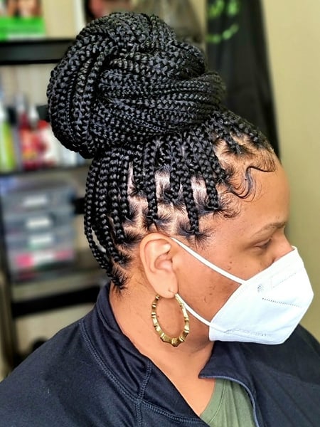 Image of  Hair Texture, Braids (African American), Women's Hair