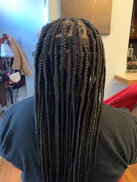 Image of  Braids (African American), Hairstyles, Women's Hair, Long, Hair Length