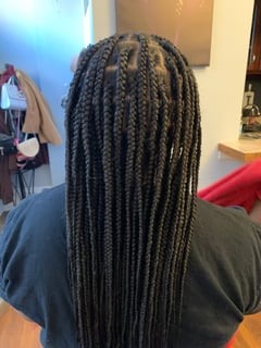 View Braids (African American), Hairstyles, Women's Hair, Long, Hair Length - Jayah Marie , Pittsburgh, PA