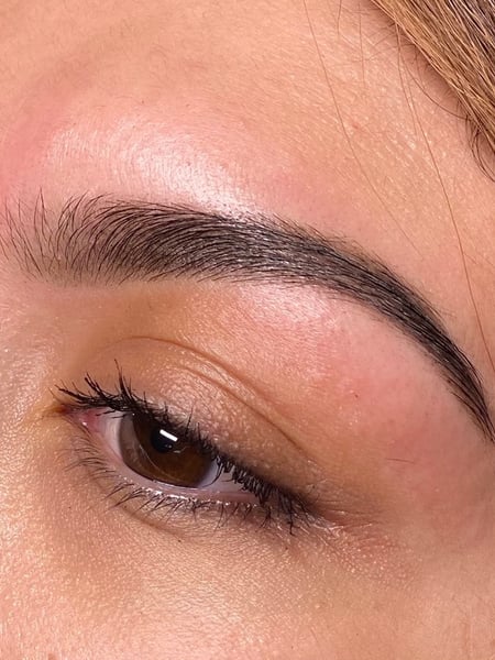 Image of  Brows, Brow Shaping, Brow Technique, Wax & Tweeze, Brow Sculpting, Brow Tinting