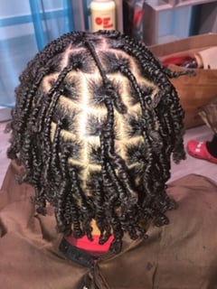 View Braids (African American), Protective, Hairstyles - Danielle Wright, Carson, CA