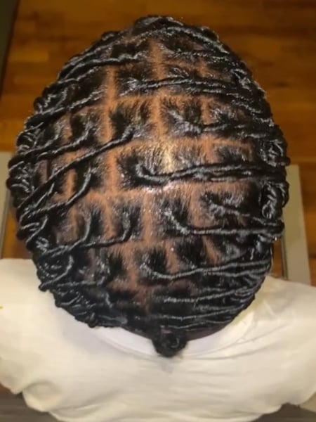 Image of  Women's Hair, Locs, Hairstyle
