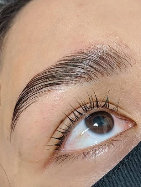 Image of  Brows, Rounded, Brow Shaping, Brow Lamination, Microblading