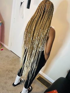 View Braids (African American), Hairstyles - Dashawna Perry, Maple Heights, OH