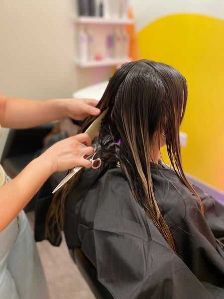 Image of  Women's Hair, Balayage, Hair Color, Haircuts, Blunt, Medium Length, Hair Length