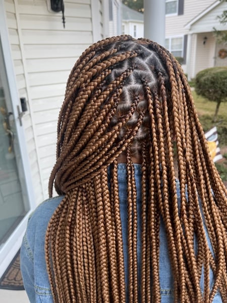 Image of  Braids (African American), Protective Styles (Hair), Hairstyle