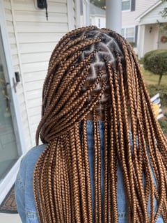 View Braids (African American), Protective Styles (Hair), Hairstyle - Sierra Wilson , Virginia Beach, VA