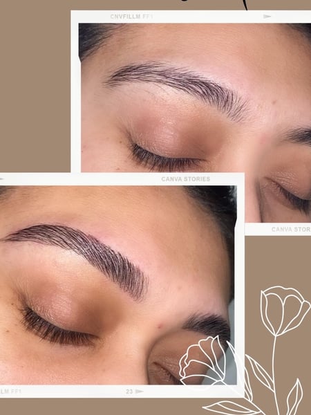 Image of  Brows, Wax & Tweeze, Brow Technique, Arched, Brow Shaping, Brow Tinting, Brow Lamination