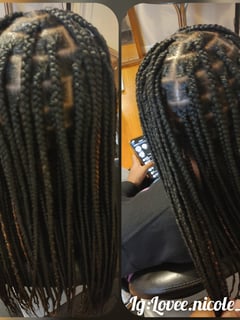 View Braids (African American), Boho Chic Braid, Hairstyles, Women's Hair, Natural, Protective - Alexus Phillips, Detroit, MI