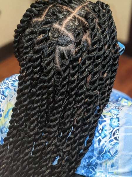 Image of  Women's Hair, Braids (African American), Hairstyles, Natural, 2A, Hair Texture, 2B, 2C, 3A, 3B, 3C, 4A, 4B, 4C