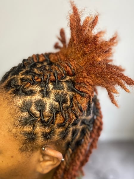 Image of  Natural, Hairstyles, Women's Hair, Locs, Protective, Braids (African American)