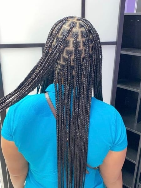 Image of  Women's Hair, Braids (African American), Hairstyles, Natural, Hair Extensions, Protective