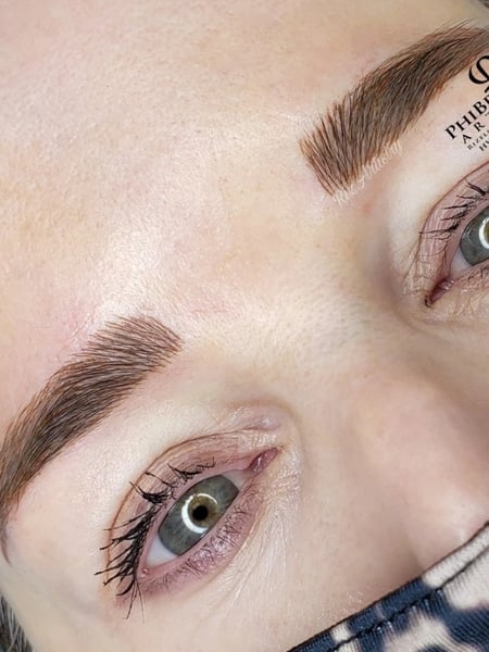 Image of  Brows, Brow Shaping, Steep Arch, Straight, Microblading