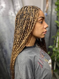 View Women's Hair, Protective, Hairstyles - Semajae Brown, Los Angeles, CA