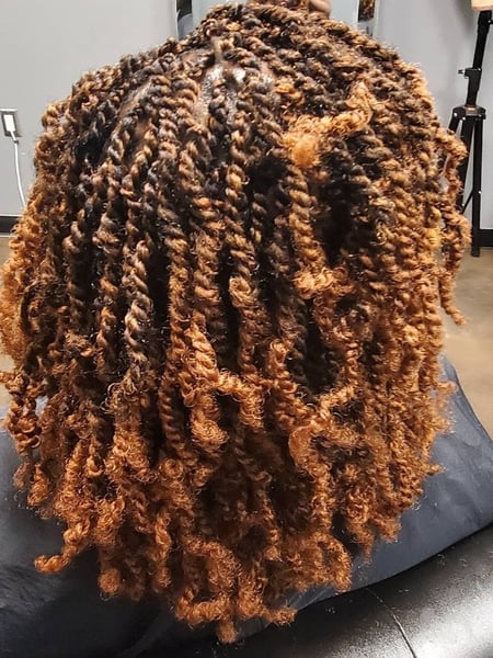 Image of  Women's Hair, Braids (African American), Hairstyle, Hair Extensions, Natural Hair
