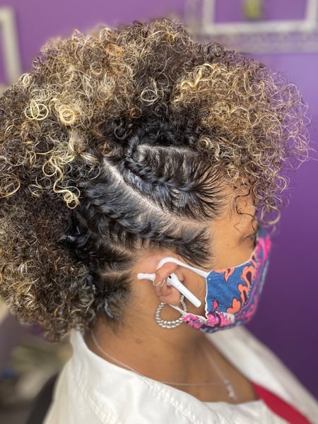 Image of  Women's Hair, Hair Color, Blonde, Full Color, Highlights, Ombré, Haircuts, Curly, Hairstyles, Braids (African American), Boho Chic Braid, Curly, Natural, Protective, Updo