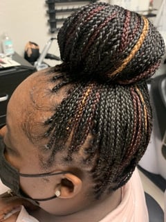 View Protective Styles (Hair), Hairstyle, Hair Extensions, Braids (African American) - Dionna Richardson, Concord, CA