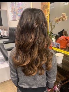 View Balayage, Hairstyles, Hair Extensions, Hair Color, Women's Hair - Erin Gabrick, Canfield, OH