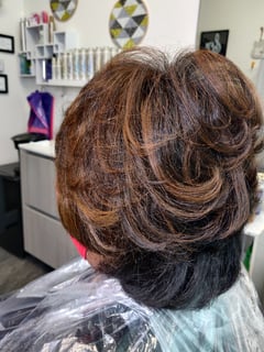 View Women's Hair, Highlights, Hair Color, Layered, Haircuts, Natural, Hairstyles, Silk Press, Permanent Hair Straightening - Michele Moon, Indianapolis, IN