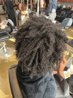 View Natural, 4B, Hair Texture, Women's Hair - Tesia Bannister, Atlanta, GA