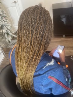View Women's Hair, Braids (African American), Protective Styles (Hair), Hair Extensions, Hairstyle - Nora Braidz, Chicago, IL