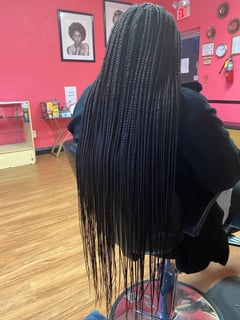 View Braids (African American), Hairstyles, Hair Extensions, Locs, Bridal, Natural - Shannon Little , Fort Lauderdale, FL