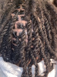 View Locs, Hairstyle, Natural Hair, 4A, Hair Texture, Women's Hair - Yanna Dixon, Memphis, TN