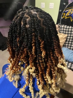 View Hairstyle, Women's Hair, Hair Texture, Natural Hair, Braids (African American), Protective Styles (Hair) - Tanise Ransom, Baltimore, MD